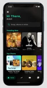 Screenshot BlackHole Music Mod APK