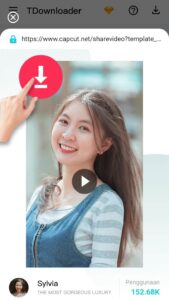 Screenshot AhaTik Downloader Mod APK