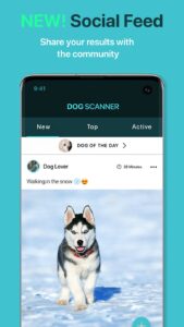 Screenshot Dog Scanner: Breed Recognition Mod APK