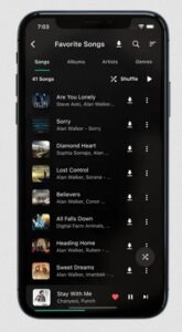 Screenshot BlackHole Music Mod APK