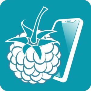 Télécharger RaspController Mod Apk v6.1.6 (Premium débloqué) dernière version 2025