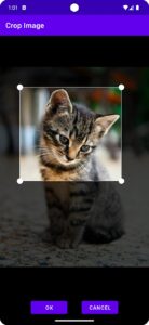 Screenshot Search By Image Mod APK