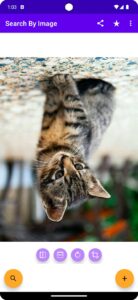 Screenshot Search By Image Mod APK