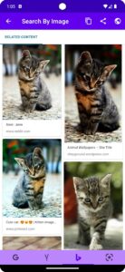 Screenshot Search By Image Mod APK