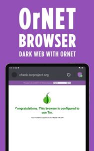 Screenshot OrNET Browser Mod APK