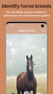 Screenshot Horse Scanner Mod APK