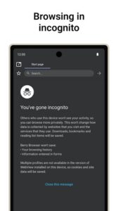 Screenshot Berry Browser Mod APK