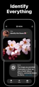 Screenshot AI Chatbot – Nova Mod APK