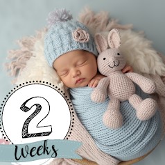 Download Baby Story Photo Editor App Mod Apk v2.24.0 (Premium Unlocked) Latest 2025