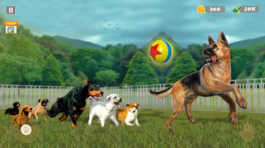 Screenshot Animal Shelter Pet Rescue Game Mod APK