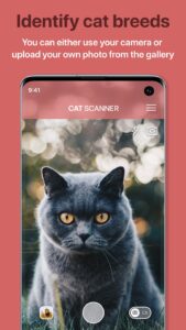 Screenshot Cat Scanner Mod APK