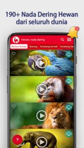 Screenshot Animals Ringtones Mod APK