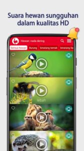 Screenshot Animals Ringtones Mod APK