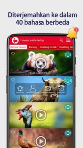 Screenshot Animals Ringtones Mod APK