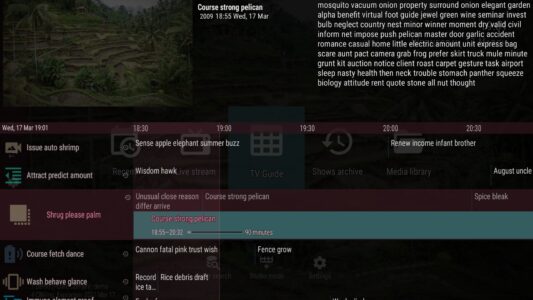 Screenshot OTT Player Mod APK