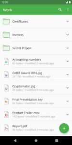 Screenshot Cryptomator Mod APK