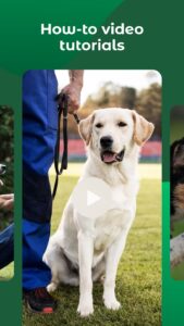 Screenshot Dogo: Puppy and Dog Training Mod APK