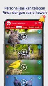 Screenshot Animals Ringtones Mod APK