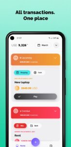 Screenshot Ivy Wallet: Money Manager Mod APK