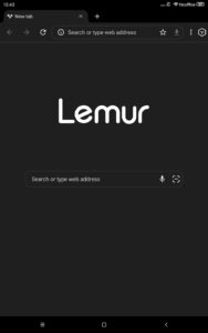 Screenshot Lemur Browser – Extensions Mod APK