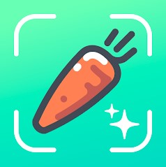 Télécharger Nutrilio: Food Tracker & Water Mod Apk v1.18.2 (Premium Unlocked) Dernière version 2025