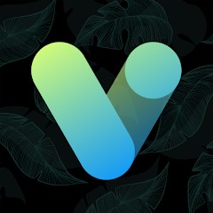 Télécharger Vera Icon Pack: shapeless icon Mod Apk v6.4.1 (version complète) dernière version 2026