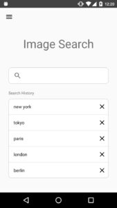 Screenshot Image Search – ImageSearchMan Mod APK