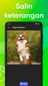 Screenshot Reposter for Story & Video Mod APK