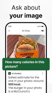 Screenshot AI Chat: Ask AI Chat Anything Mod APK
