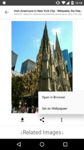 Screenshot Image Search – ImageSearchMan Mod APK