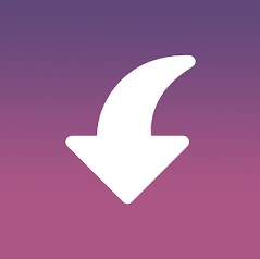 Download Insget – Instagram Downloader Mod Apk v1.13.2 (Premium Unlocked) Terbaru 2025