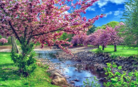 Screenshot Smart HDR Mod APK