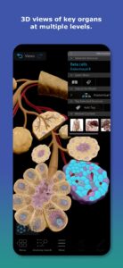 Screenshot Human Anatomy Atlas 2026 Mod APK