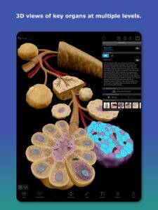 Screenshot Human Anatomy Atlas 2026 Mod APK