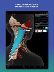 Screenshot Human Anatomy Atlas 2026 Mod APK