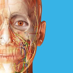 Télécharger Human Anatomy Atlas 2026 Mod Apk v2026.005.009 (Premium Unlocked) Dernière version 2026