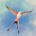 Download Wingspan: The Board Game Mod Apk vb2abff6 (No Ads) Terbaru 2026