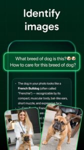 Screenshot BestifyMe – Personality Development App Mod APK