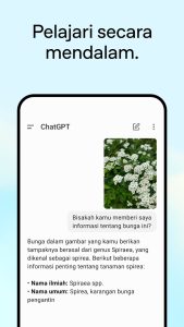 Screenshot ChatGPT Mod APK