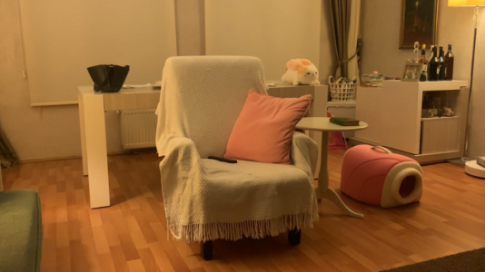 Screenshot Paranormal Inc.: Case File 01 Mod APK