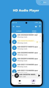 Screenshot Video Player All Format HD Mod APK