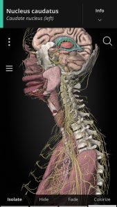 Screenshot Anatomyka – 3D Anatomy Atlas Mod APK