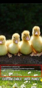 Screenshot Gallery Elite Mod APK