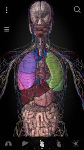 Screenshot Anatomyka – 3D Anatomy Atlas Mod APK