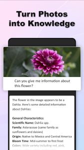 Screenshot VimoAI – AI Chatbot Assistant Mod APK