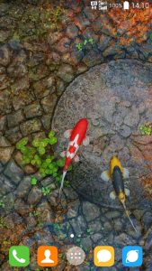 Screenshot Water Garden Live Wallpaper Mod APK