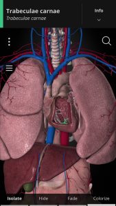 Screenshot Anatomyka – 3D Anatomy Atlas Mod APK