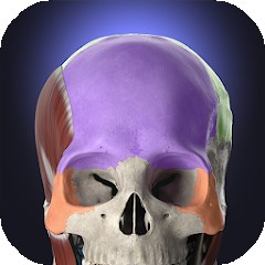Anatomyka – 3D Anatomy Atlas Mod Apk v3.2.5 İndir (Full Unlocked) En Yeni 2026