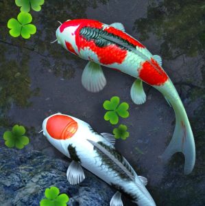 İndir Water Garden Live Wallpaper Mod Apk v2.05 (Premium Unlocked) En Yeni 2026
