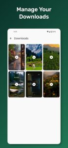 Screenshot All Social Video Downloader Mod APK
